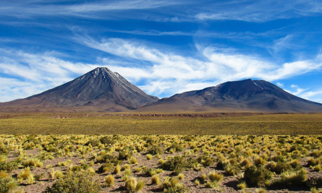 ATACAMA – Salar de Tara