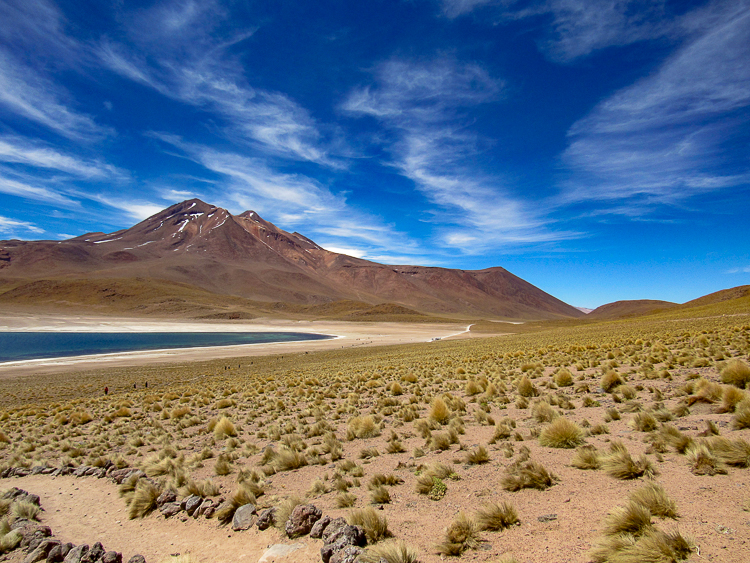 Atacama - Lagunas Altiplânicas