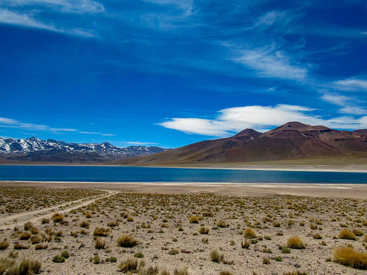 Atacama - Lagunas Altiplânicas