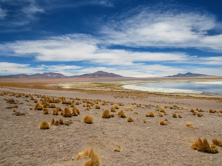 Atacama - Salar de Tara