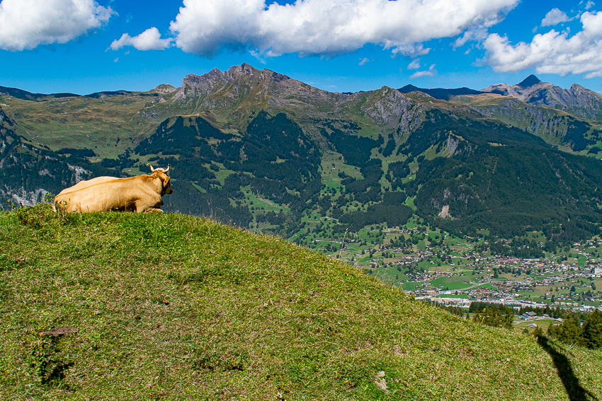 Suíça - Grindelwald