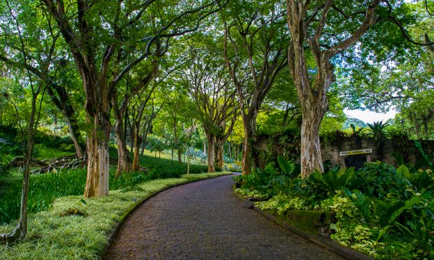 SÍTIO BURLE MARX – Onde você respira Brasil