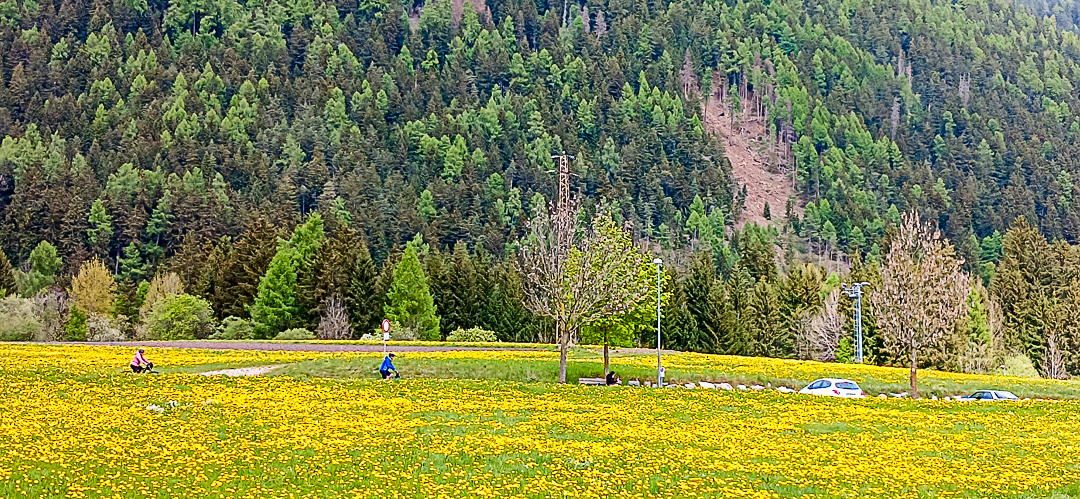 Estrada Brunico - Dobbiaco 3