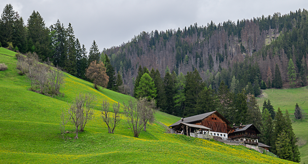 Estrada Dobbiaco - Lago di Braies 4